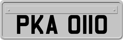 PKA0110