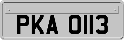 PKA0113