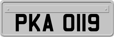 PKA0119