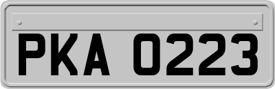 PKA0223