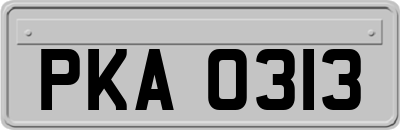 PKA0313