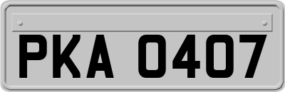 PKA0407
