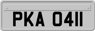 PKA0411