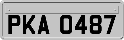 PKA0487