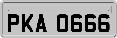 PKA0666