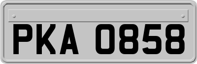 PKA0858