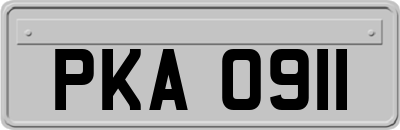 PKA0911