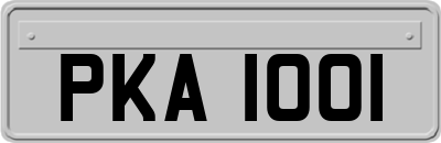PKA1001