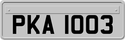 PKA1003