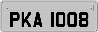 PKA1008