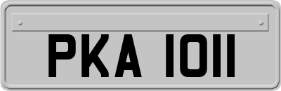 PKA1011