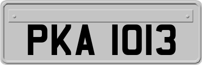 PKA1013