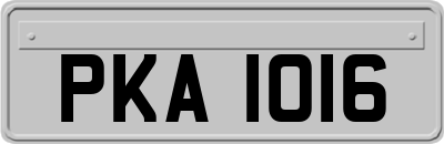 PKA1016