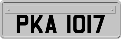 PKA1017