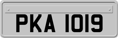 PKA1019