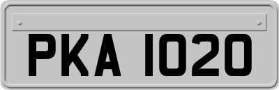 PKA1020