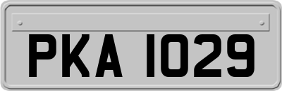 PKA1029
