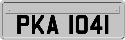 PKA1041