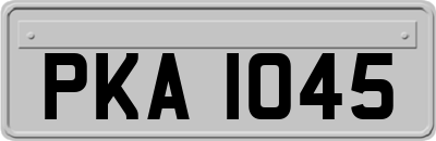 PKA1045