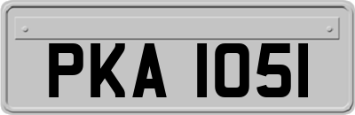 PKA1051