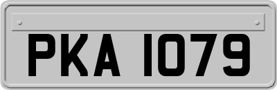PKA1079