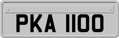 PKA1100