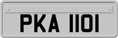 PKA1101