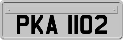 PKA1102