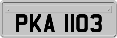 PKA1103