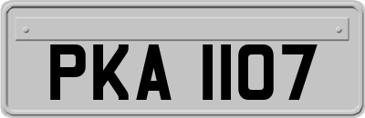 PKA1107