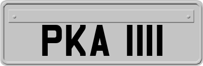 PKA1111