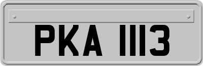 PKA1113