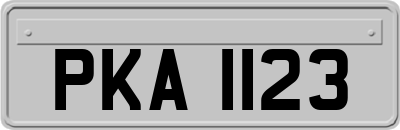 PKA1123
