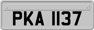 PKA1137
