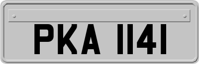 PKA1141