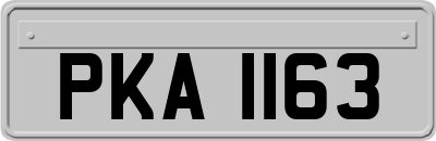 PKA1163