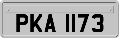 PKA1173