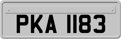 PKA1183