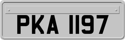 PKA1197