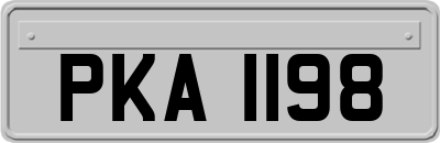 PKA1198