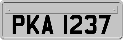 PKA1237