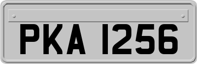 PKA1256