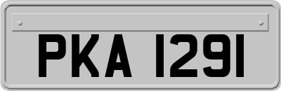 PKA1291