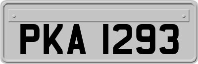 PKA1293