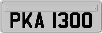 PKA1300