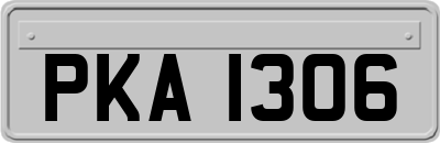 PKA1306