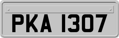 PKA1307