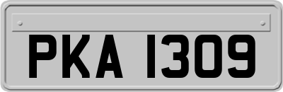 PKA1309