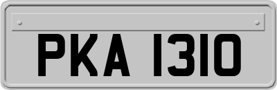 PKA1310