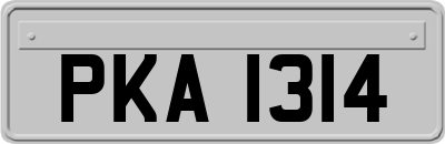 PKA1314